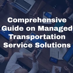 Comprehensive Guide Managed TMS - Landing Page